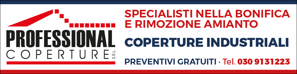 Ann. Professional Coperture